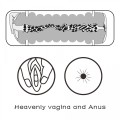 Virgin-Skin Blowout Stroker Vagina and Anus