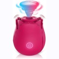 Stymulator-Massager USB 10 function