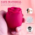 Stymulator-Massager USB 10 function
