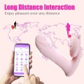 Silicone vibrator 3 speeds, 6 frequencies Finger function, Heating + APP control