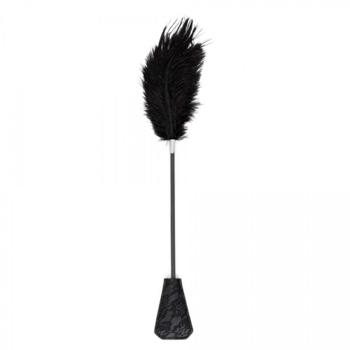 Fetish B-Series Tickler & Whip 1.0