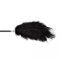 Fetish B-Series Tickler & Whip 1.0