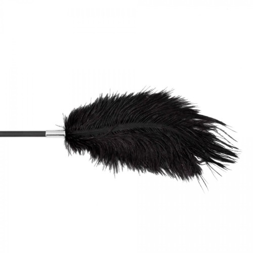 Fetish B-Series Tickler & Whip 1.0