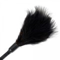 Fetish B-Series Tickler & Whip 3.0