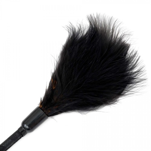 Fetish B-Series Tickler & Whip 3.0