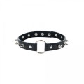 Adjustable collar with spikes