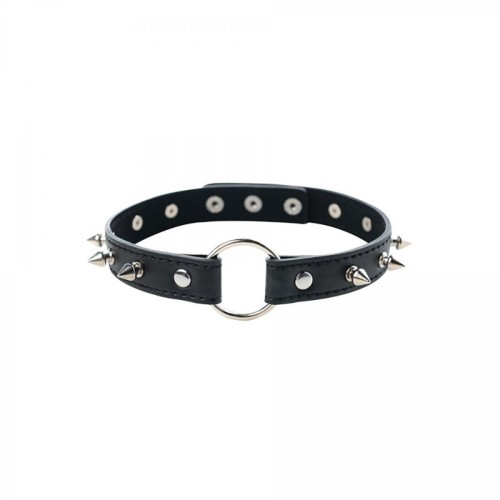 Adjustable collar with spikes