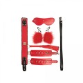 Bondage Set consists of 5 BDSM pieces