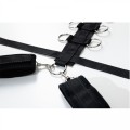 Harness with adjustable neck, belt and breastplate with rings