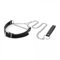 Bedroom Fantasies - Collar with Leash Silver