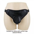 Pretty Love Fogg II Black Universal Harness Briefs
