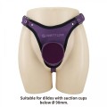 Pretty Love Caldric III Purple Universal Harness Briefs
