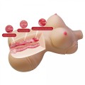 Crazy Bull Diana Vagina & Anal Masturbator
