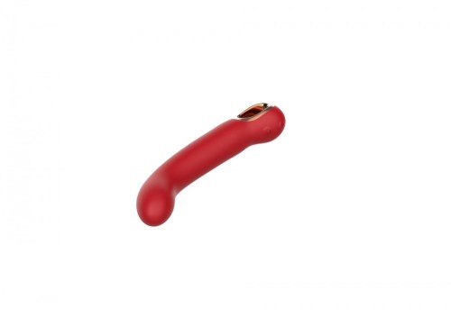 Feminism Vibrator