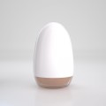 CRUSHIOUS EZY EGG ANAL MASTURBATOR EGG