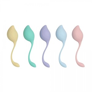 Pelvic Stem Kegel Kit - Multicolor