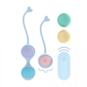Vibrating and 5 Weight Interchangeable Kegel Kit with Remote Control - Purple
