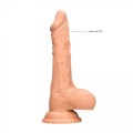 Dong with Testicles - 17 cm