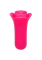 Lily Licker Mini Flower Flicker