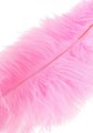Double Feather Tickler Pink