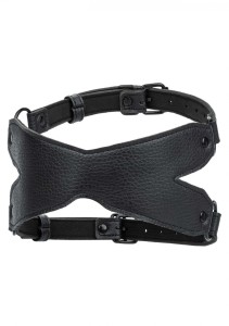 X-Mask