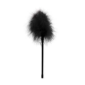 Feather