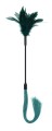 Feather Tickler