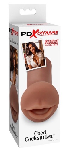 PDXE Coed Cocksucker Brown
