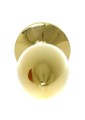 MyLove Toys - Jewellery Gold PLUG ROSE- Red