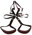 Bad Kitty Body Swing