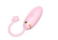 Lovesecret Premium Love Egg App Function